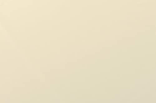 12-Pack 84" Ivory Round Tablecloth