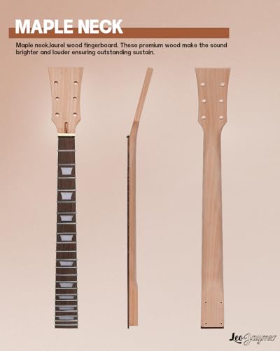 Leo Jaymz DIY Guitar Kits SC Style 3005210