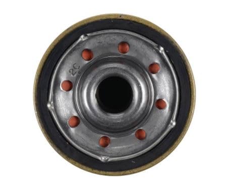 Extended Guard Oil Filter