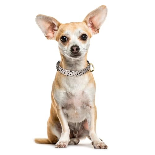 TMOODEL Reflective Dog Collar Cute Leopard Style Dog Collar for Small Dogs Soft Nylon Puppy Collar for Boy and Girl Female Dog Adjustable Pet Collars with Quick Release Buckle Beige XS Dog Collar