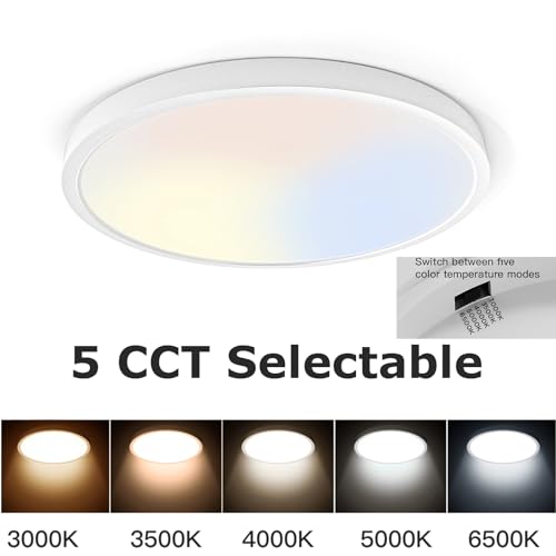 TALOYA 10 Inch LED Flush Mount Ceiling Light Fixture White 5-in-1 CCT Selectable (3000K/3500K/4000K/5000K/6500K) 20W 0.94inch Thickness Ultra-Slim Surface Mounted Lighting Fixture for Basement