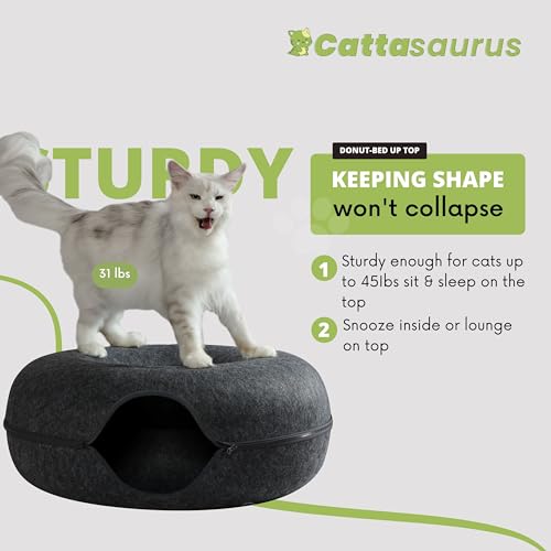 Cattasaurus Peekaboo Cat Cave for Multiple Cats & Large Cats for Cats Up to 30 Lbs Cat Caves for Indoor Cats Cat Tunnel Bed Scratch Detachable & Washable Tunnel Cat Bed (Jumbo Dark Gray)
