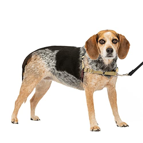 Easy Walk Dog Harness Clamshell Color: Fawn Size: Small / Medium (0.75\" Nylon 19-25\" Girth)
