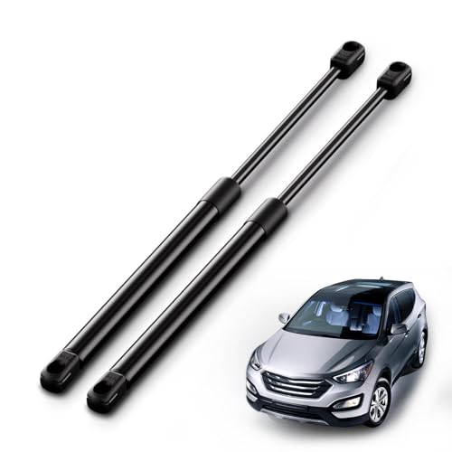 ARANA 2Pcs Liftgate Supports for Hyundai Santa Fe