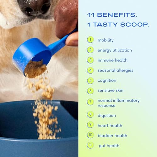 Native Pet The Daily Dog Supplement - 11 in 1 Dog Multivitamin - Tasty Scoop with Dog Supplements & Vitamins - Multi Vitamin for Dog Energy Mobility Skin & Coat - 12 Active Ingredients 14 oz