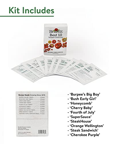 Burpee Best 10 Non-GMO Planting Tomato Seeds for Garden Gifts (1 Pack)