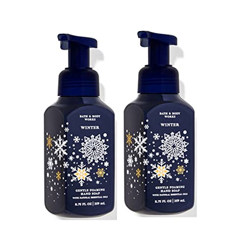 Bath and Body Works Winter Gentle Foaming Hand Soap 2-Pack 8.75 Ounce (Winter)