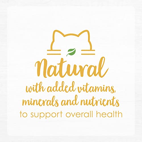 Fancy Feast Natural Grain Free Wet Cat Food Pate Gourmet Naturals Natural Turkey Recipe - (12) 3 oz. Cans