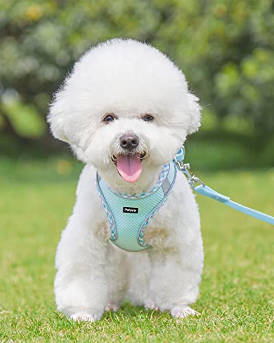 Petank Dog Harness for Small Medium Dogs No Pull Puppy Harness and Leash Set Easy Walk Dog Harness for Walking Running Training Small Dog Harness Medium Dog Harness (Light Blue XXS)